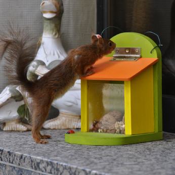 Futterstation für Eichhörnchen